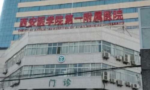 vx截图_20240723224954.jpg