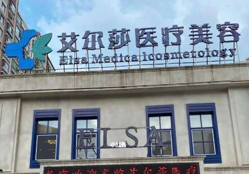 长春艾尔莎.jpg