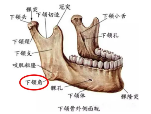 QQ20240808-112411.png