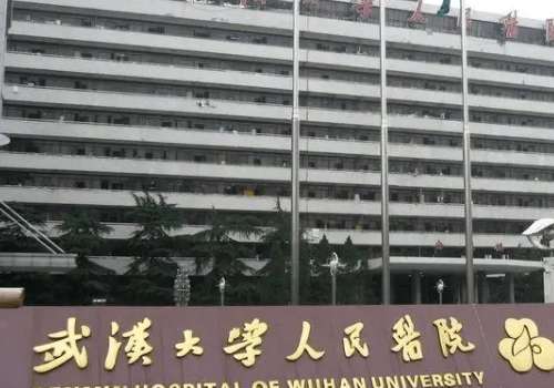 武汉大学人民医院.jpg