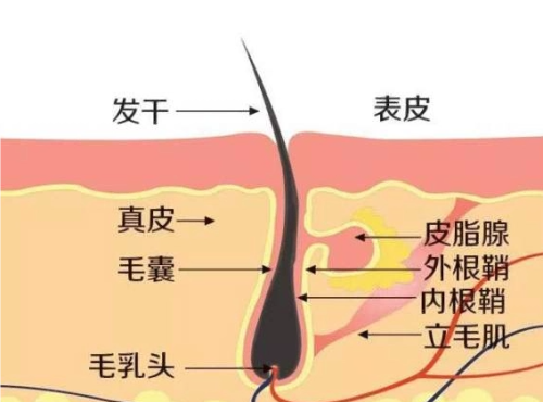 QQ20240925-120216.png