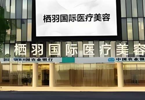 栖羽.jpg