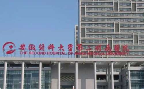 安徽医科大学第二附属医院.jpg