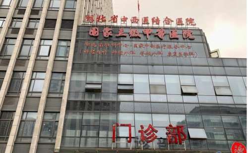 武汉市中西医结合医院.jpg