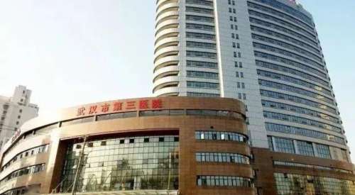 武汉市第三医院hg‘’.jpg