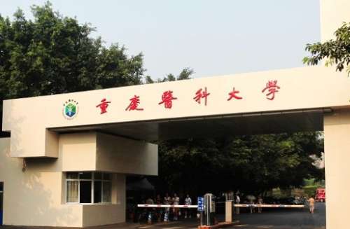 微信截图_20241020094131.jpg