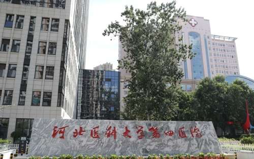 vx截图_20241108223226.jpg
