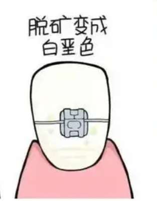微信截图_20241111092830.jpg