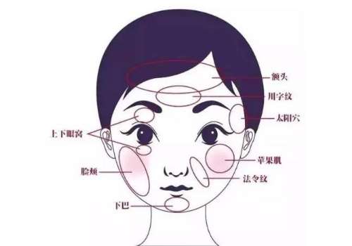脂肪填充5.jpg