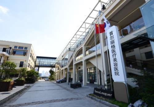 上海首尔丽格医疗美容医院.jpg