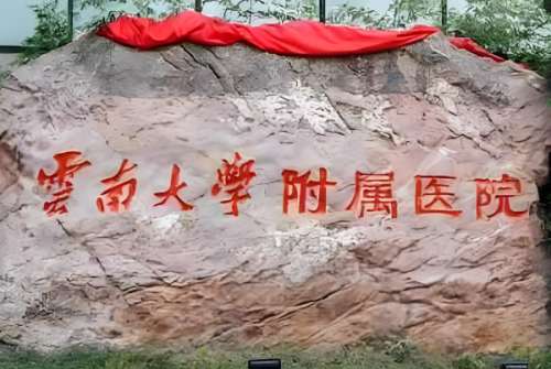 云南大学附属医院.jpg