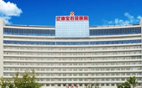 盘锦辽油宝石花医院.jpg