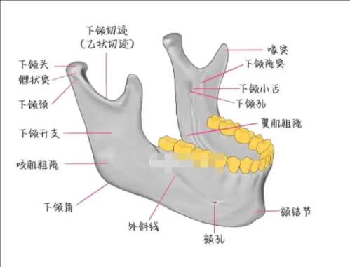 QQ20241129-112022.jpg
