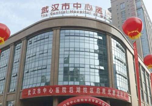 武汉市中心医院.jpg