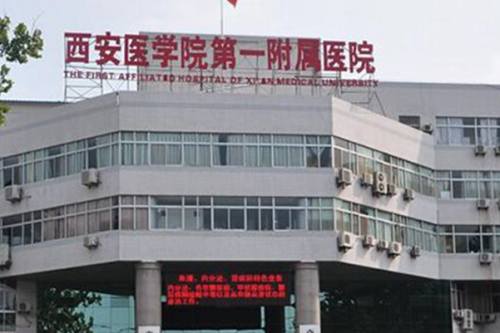 微信图片_20241210133901.png