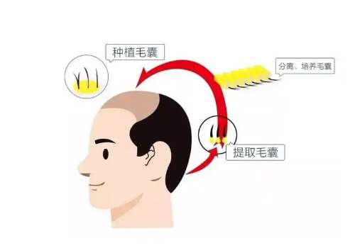 截图46052.jpg