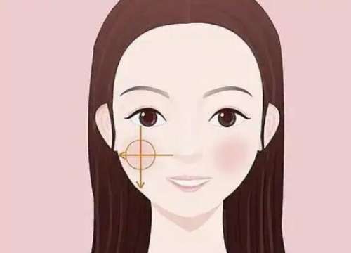 颧骨 颧骨