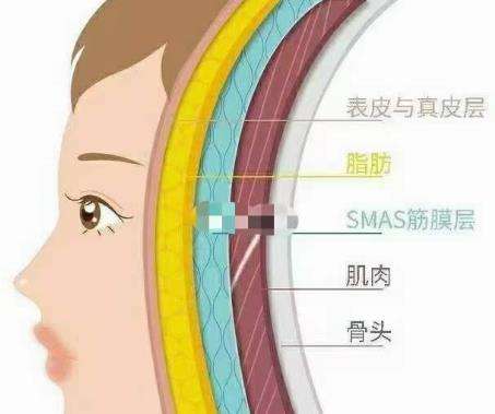 骨相抗衰和皮相抗衰03.jpg 骨相抗衰和皮相抗衰03.jpg