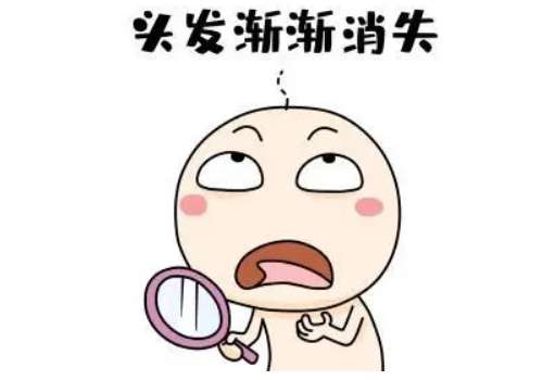 毛发3.jpg