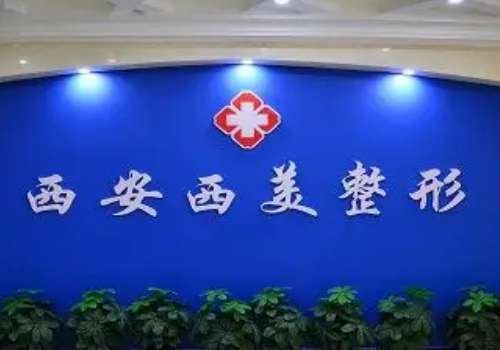 西安碑林西美.jpg