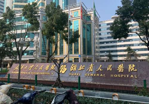 湖北省人民医院(武汉大学人民医院).jpg