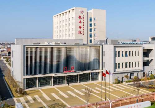 上海中医药大学附属龙华医院.jpg