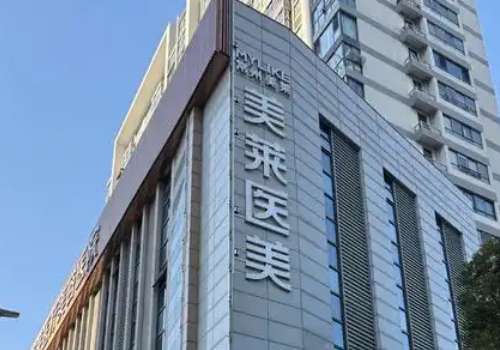 天津美莱.jpg