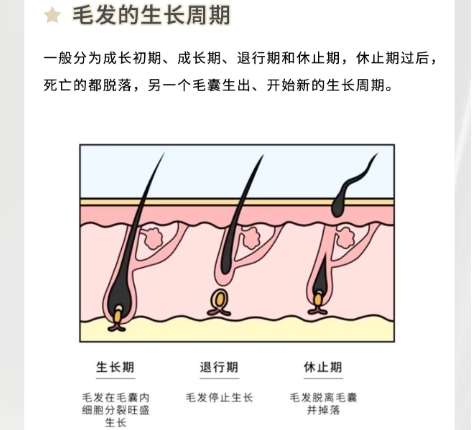 种植头发 种植头发