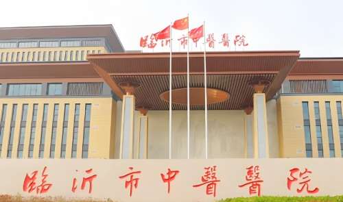 临忻市中医医院 临忻市中医医院