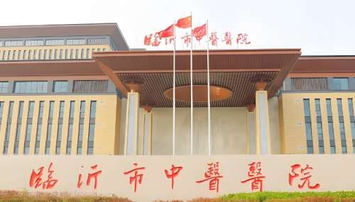 临忻市中医医院 临忻市中医医院