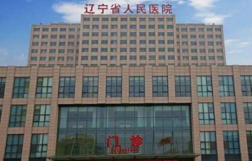 辽宁省人民医院 辽宁省人民医院