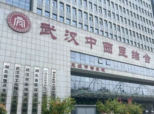 武汉市中西医结合医院 武汉市中西医结合医院