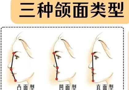 颌面 颌面