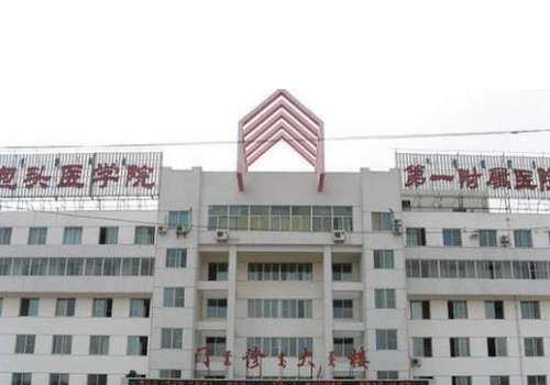 内蒙古科技大学包头医学院第一附属医院.jpg