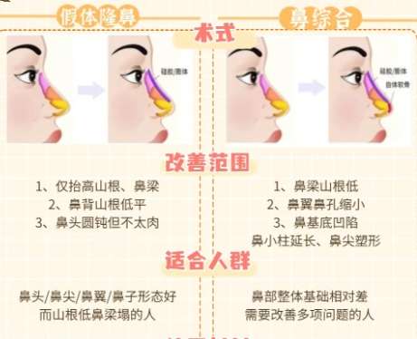 隆鼻 隆鼻