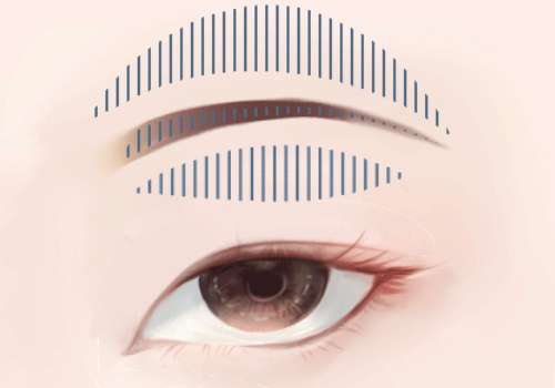 切眉弓.jpg