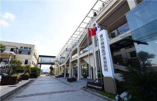 上海首尔丽格医疗美容医院.jpg