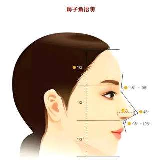 鼻子 鼻子