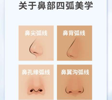鼻子 鼻子