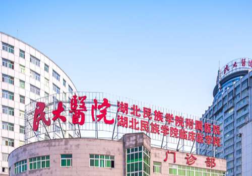 湖北民族大学附属民大医院.jpg
