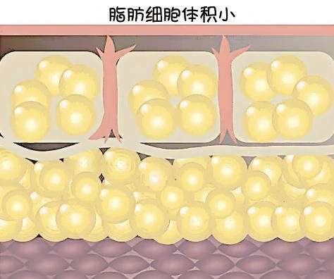 ֬