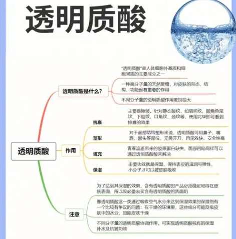 玻尿酸 玻尿酸