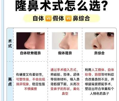 隆鼻 隆鼻
