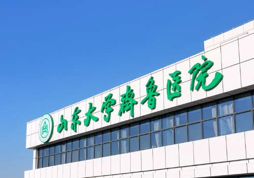 山东大学齐鲁医院(青岛).jpg