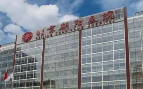 北京朝阳.jpg