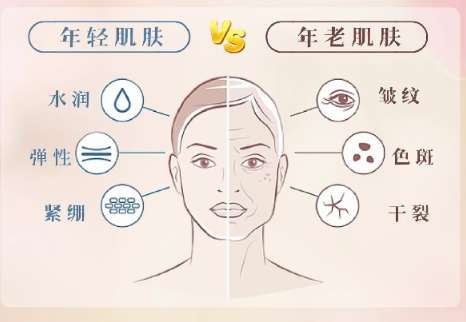 除皱 除皱