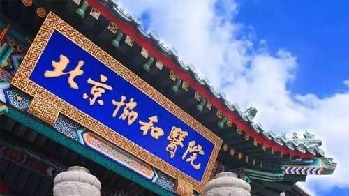 北京协和医院 (5).jpg